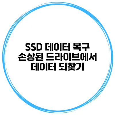 SSD 데이터 복구 손상된 드라이브에서 데이터 되찾기