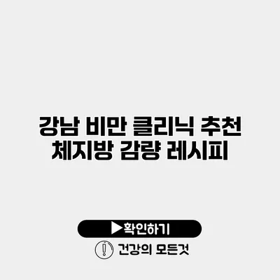 강남 비만 클리닉 추천 체지방 감량 레시피