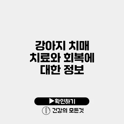 강아지 치매 치료와 회복에 대한 정보