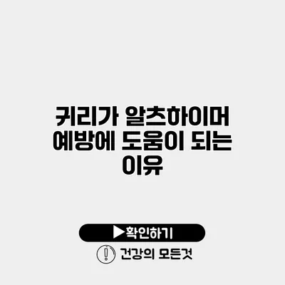 귀리가 알츠하이머 예방에 도움이 되는 이유