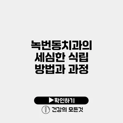 녹번동치과의 세심한 식립 방법과 과정
