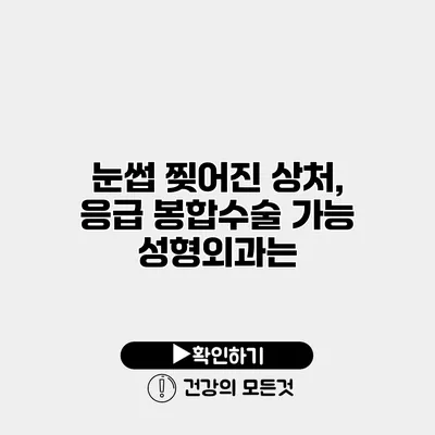 눈썹 찢어진 상처, 응급 봉합수술 가능 성형외과는?