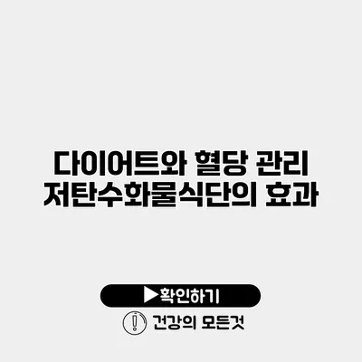 다이어트와 혈당 관리 저탄수화물식단의 효과