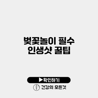 벚꽃놀이 필수 인생샷 꿀팁