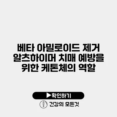 베타 아밀로이드 제거 알츠하이머 치매 예방을 위한 케톤체의 역할