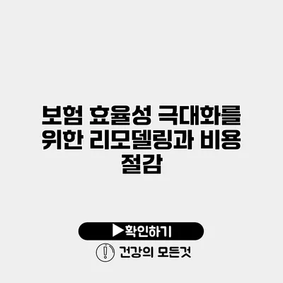 보험 효율성 극대화를 위한 리모델링과 비용 절감