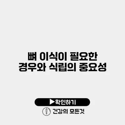 뼈 이식이 필요한 경우와 식립의 중요성
