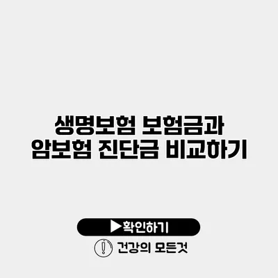 생명보험 보험금과 암보험 진단금 비교하기