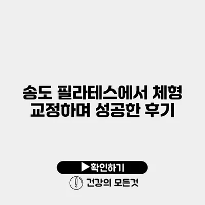 송도 필라테스에서 체형 교정하며 성공한 후기