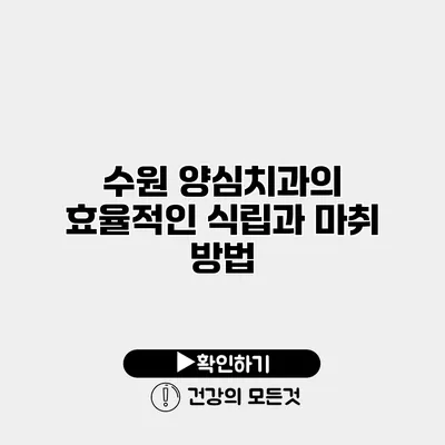 수원 양심치과의 효율적인 식립과 마취 방법