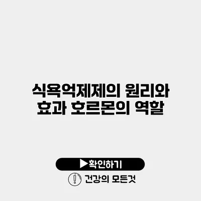 식욕억제제의 원리와 효과 호르몬의 역할