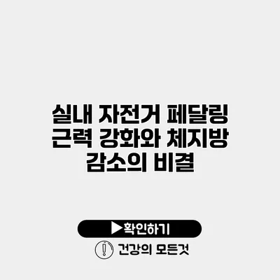 실내 자전거 페달링 근력 강화와 체지방 감소의 비결