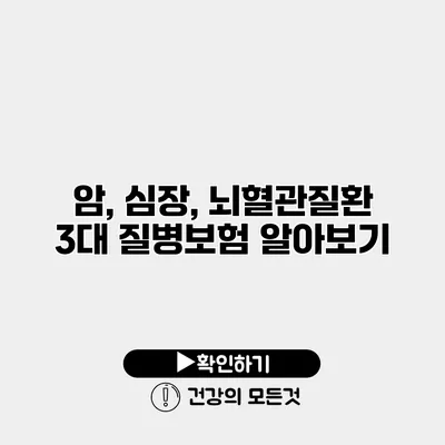 암, 심장, 뇌혈관질환 3대 질병보험 알아보기