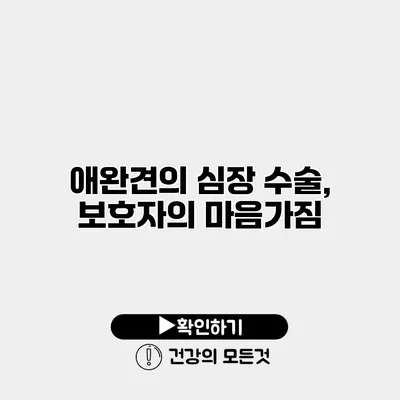 애완견의 심장 수술, 보호자의 마음가짐