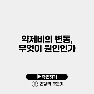 약제비의 변동, 무엇이 원인인가?