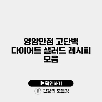 영양만점 고단백 다이어트 샐러드 레시피 모음