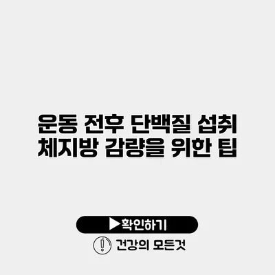 운동 전후 단백질 섭취 체지방 감량을 위한 팁