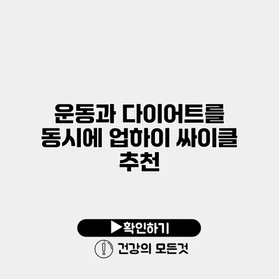운동과 다이어트를 동시에 업하이 싸이클 추천