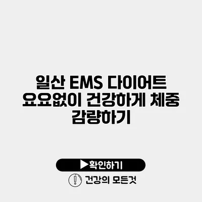 일산 EMS 다이어트 요요없이 건강하게 체중 감량하기