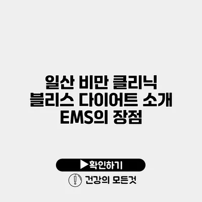 일산 비만 클리닉 블리스 다이어트 소개 EMS의 장점