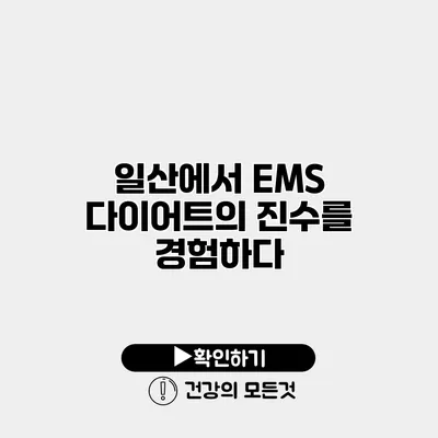 일산에서 EMS 다이어트의 진수를 경험하다