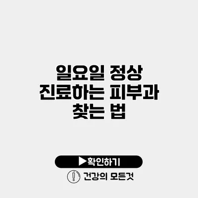 일요일 정상 진료하는 피부과 찾는 법