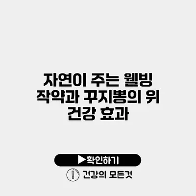 자연이 주는 웰빙 작약과 꾸지뽕의 위 건강 효과