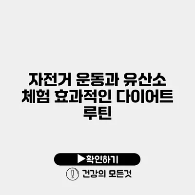 자전거 운동과 유산소 체험 효과적인 다이어트 루틴