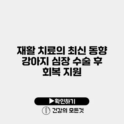 재활 치료의 최신 동향 강아지 심장 수술 후 회복 지원