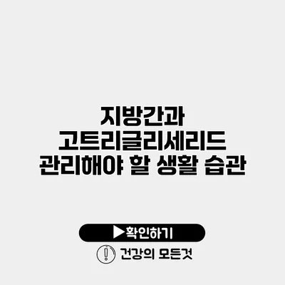 지방간과 고트리글리세리드 관리해야 할 생활 습관