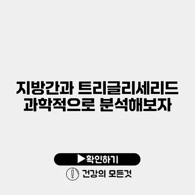 지방간과 트리글리세리드 과학적으로 분석해보자