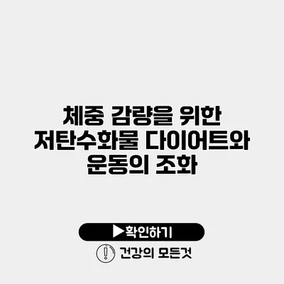체중 감량을 위한 저탄수화물 다이어트와 운동의 조화
