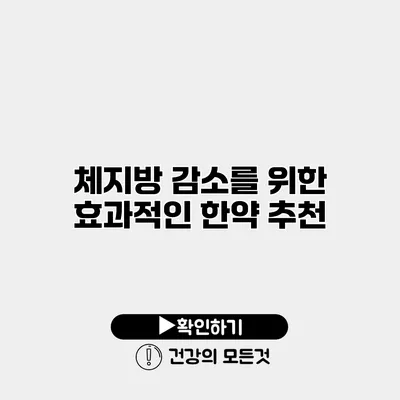 체지방 감소를 위한 효과적인 한약 추천