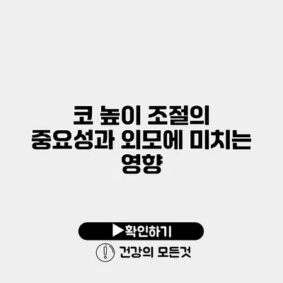 코 높이 조절의 중요성과 외모에 미치는 영향