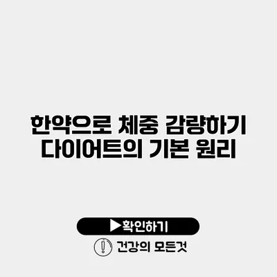 한약으로 체중 감량하기 다이어트의 기본 원리