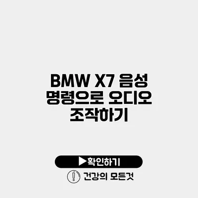 BMW X7 음성 명령으로 오디오 조작하기
