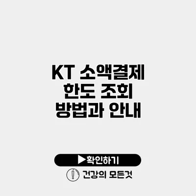 KT 소액결제 한도 조회 방법과 안내