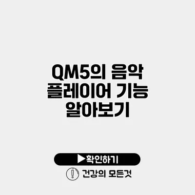 QM5의 음악 플레이어 기능 알아보기