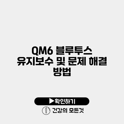 QM6 블루투스 유지보수 및 문제 해결 방법