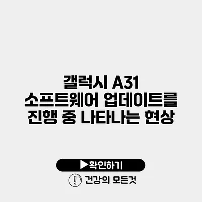갤럭시 A31 소프트웨어 업데이트를 진행 중 나타나는 현상