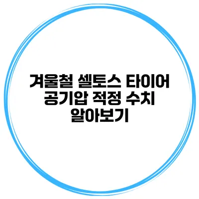 겨울철 셀토스 타이어 공기압 적정 수치 알아보기
