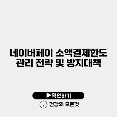 네이버페이 소액결제한도 관리 전략 및 방지대책
