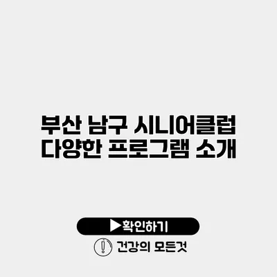 부산 남구 시니어클럽 다양한 프로그램 소개