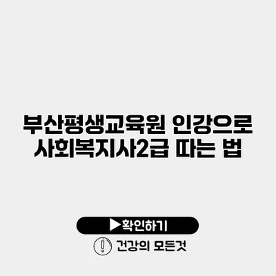 부산평생교육원 인강으로 사회복지사2급 따는 법