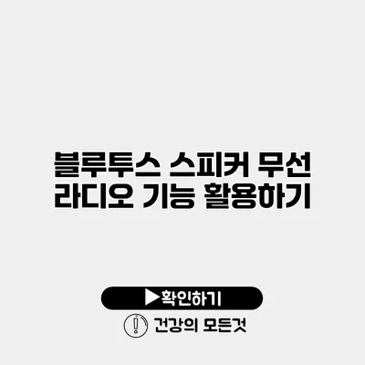 블루투스 스피커 무선 라디오 기능 활용하기