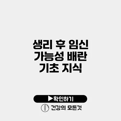 생리 후 임신 가능성 배란 기초 지식