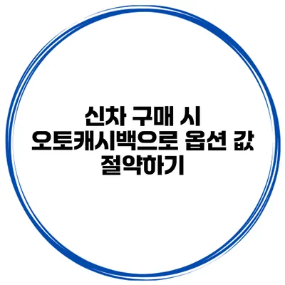 신차 구매 시 오토캐시백으로 옵션 값 절약하기