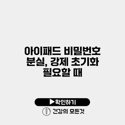 아이패드 비밀번호 분실, 강제 초기화 필요할 때