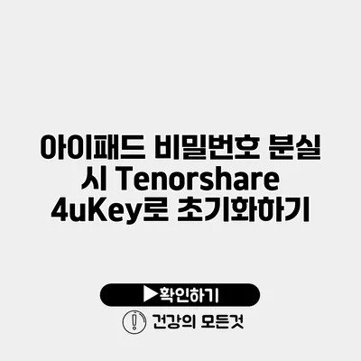 아이패드 비밀번호 분실 시 Tenorshare 4uKey로 초기화하기