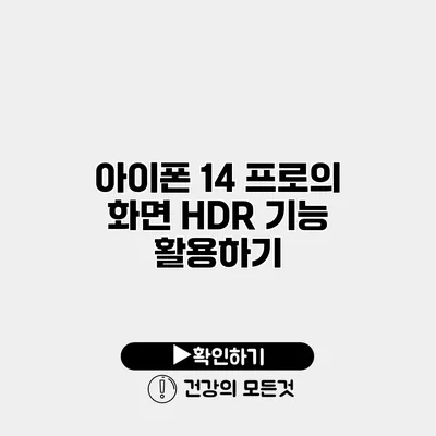 아이폰 14 프로의 화면 HDR 기능 활용하기